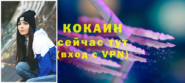 спиды Верея