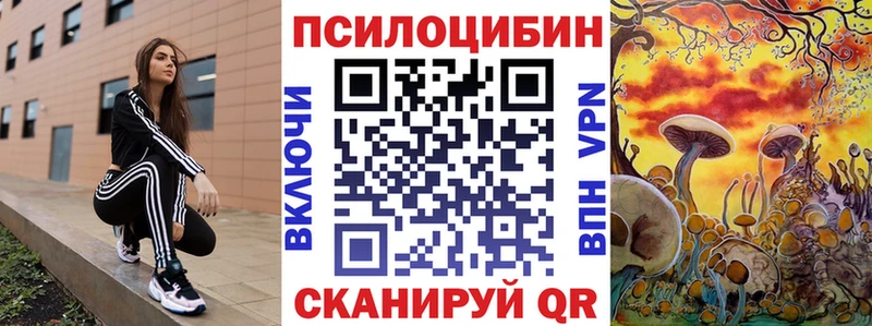 Купить закладки  Северо-Курильск  Галлюциногенные грибы мицелий 